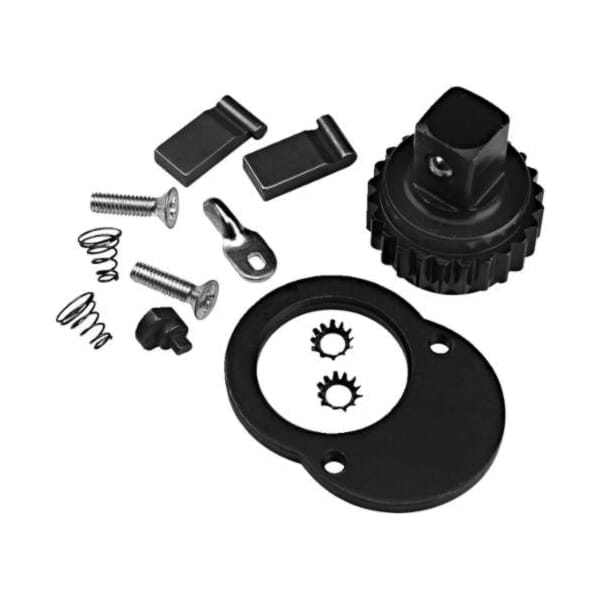 Proto J6006RK Ratchet Head Repair Kit, For Use With J6006C, J6006CX, J6006CXCERT, J6006MC, J6006NMC and J6012C 3/8 in Drive Torque Wrench, Alloy Steel